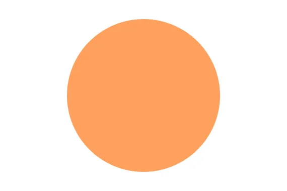 orange.jpeg.webp