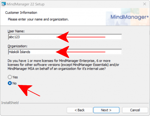 MindManager 1