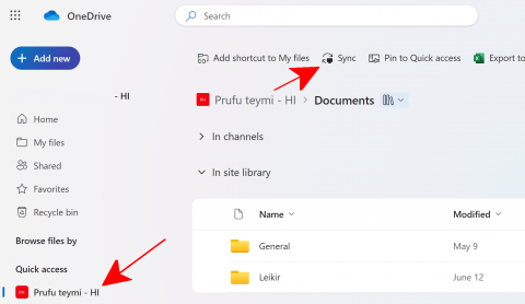 Onedrive team files